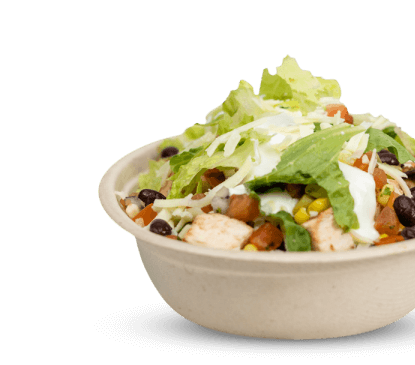 Burrito Bowl