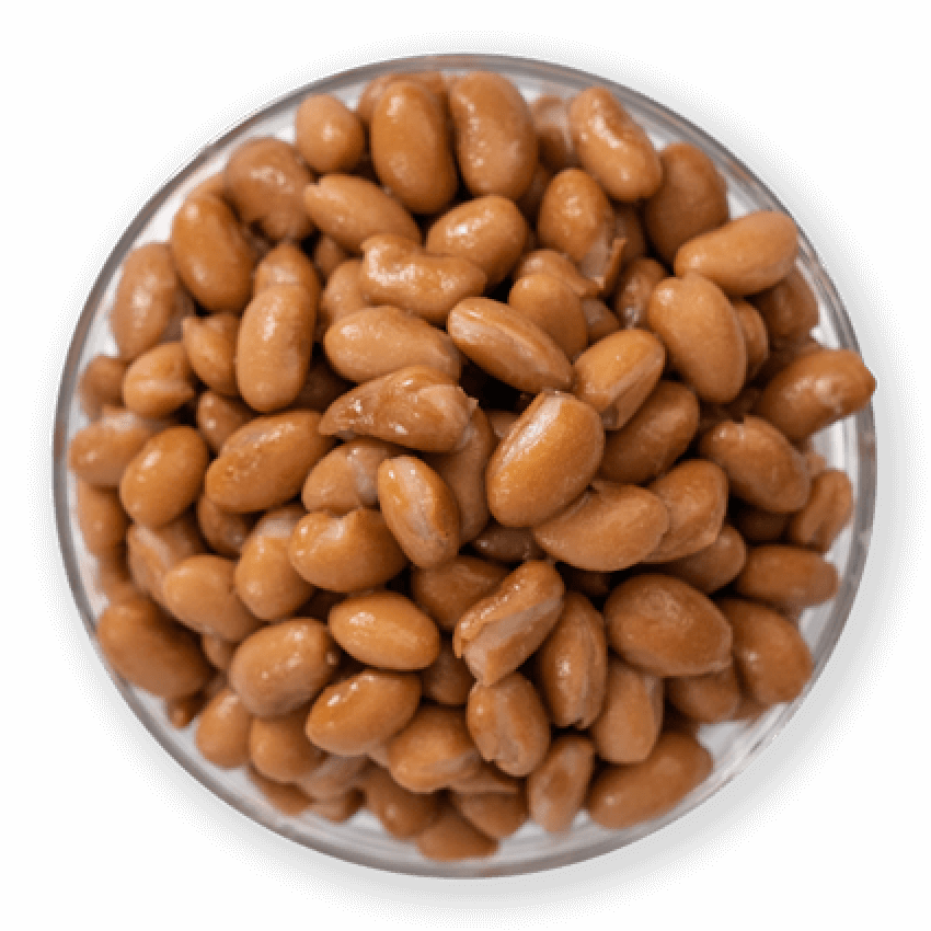 Pinto Beans