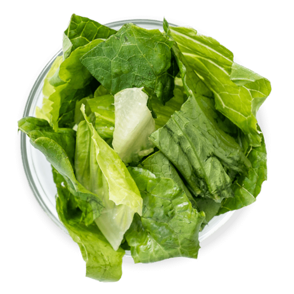 Romaine Lettuce